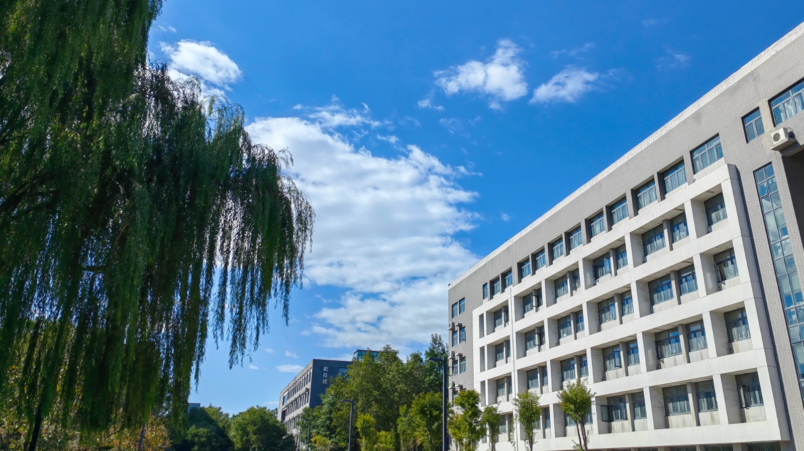 六合彩开奖网站